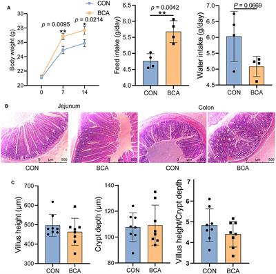 Effects of the compound extracts of Caprifoliaceae and Scutellaria baicalensis Georgi on the intestinal microbiota and antioxidant function